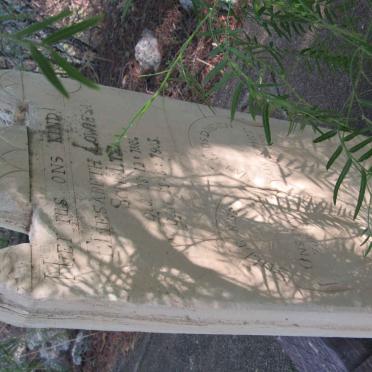 SCHOLTZ Eliesabeth Lowiesa 1886-1903