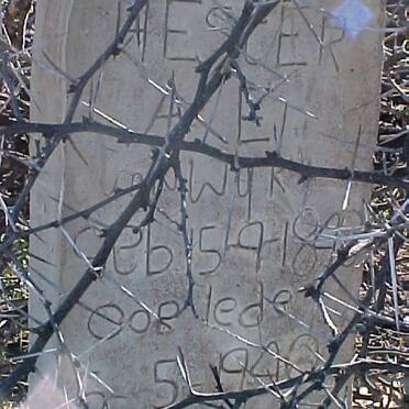 WYK Hester A.E., van 1848-1940