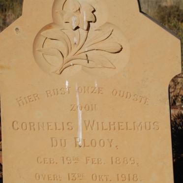 PLOOY Cornelis Wilhelmus, du 1889-1918