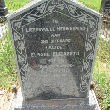 STEYN Elsabe Elizabeth nee LIEBENBERG 1909-1937