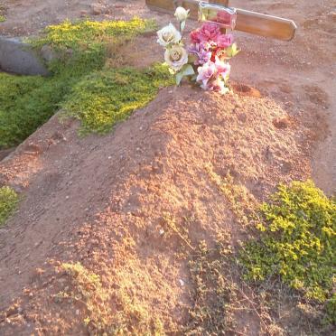 ? Unknown &amp; Illegible Graves