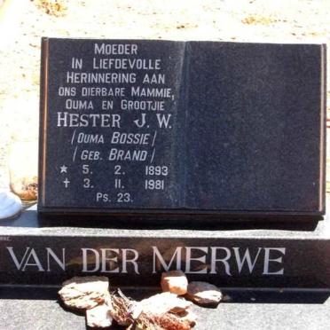 MERWE Hester J.W., van der nee BRAND 1893-1981
