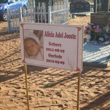 JOOSTE Alicia Adel 2011-2012