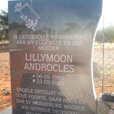 WILLIAMSON Lillymoon Androcles 1950-2005