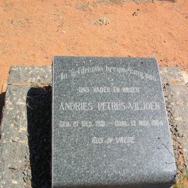 VILJOEN Petrus Andries 1891-1964