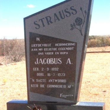 STRAUSS Jacobus A. 1892-1973
