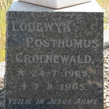 GROENEWALD Hermanus Christoffel 1965-1965 :: GROENEWALD Lodewyk Posthumus 1965-1965