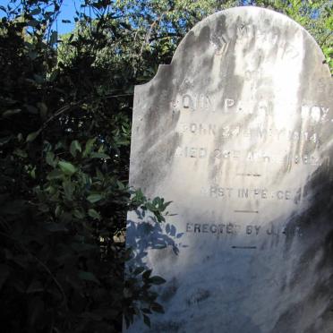? John P. 1814-1882