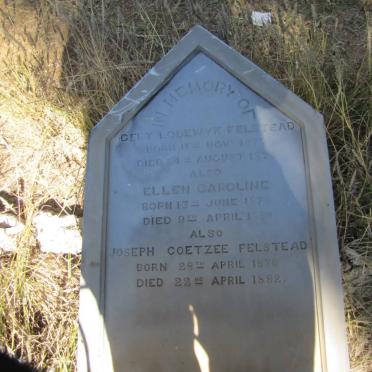 FELSTEAD Gert Lodewyk 187?-187? :: FELSTEAD Ellen Caroline 1870-188? :: FELSTEAD Joseph Coetzee 1876-1882