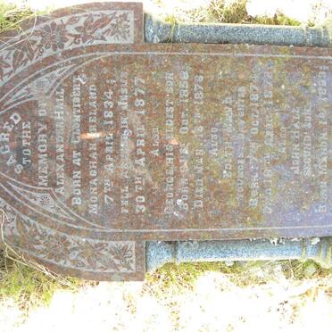 HALL Alexander 1834-1877 &amp; Sarah 1836-1903 :: HALL George 1858-1876 :: HALL Edith Maud 1874-1878 :: HALL John 1863-1898