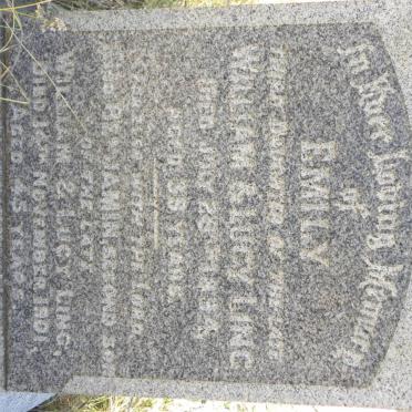 LING Edmond -1900 :: LING Emily -1894 :: LING Lucy -1891 :: LING William -1889