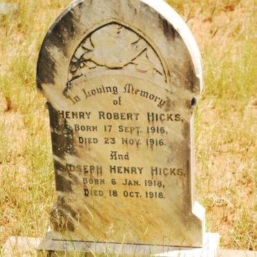 HICKS Henry Robert 1916-1916 :: HICKS Joseph Henry 1918-1918