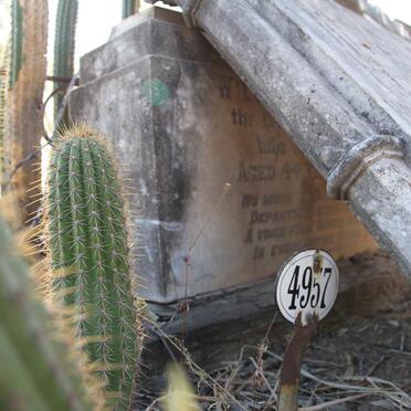 DONELLY William Thomas -1903 &amp; Charlotte Maria -1899