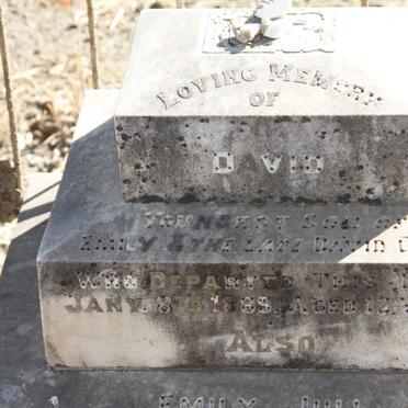 GLEN David -1889 :: YOUNG Emily Julia -1892