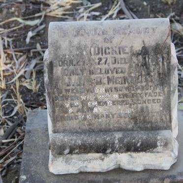 MEINTJES Dickie Cooper 1927-1937
