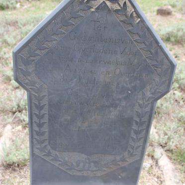 MEYER Christian Lodewiekus 1849-1924