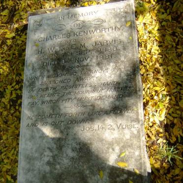 JARVIS Charles Kenworthy 1880-1881