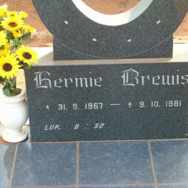 BREWIS Hermie 1967-1981