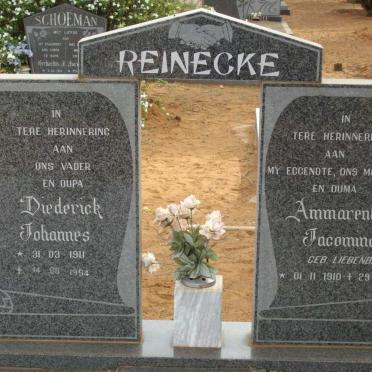 REINECKE Diederick Johannes 1911-1994 &amp; Ammarentia Jacomina LIEBENBERG 1910-1988