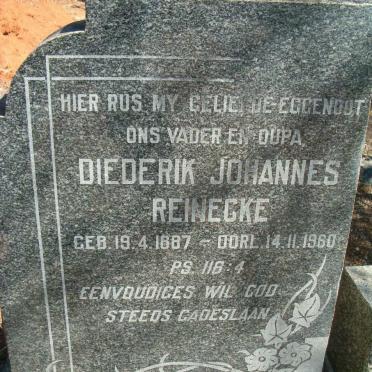 REINECKE Vanne