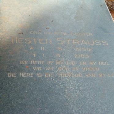 STRAUSS Hester 1959-1983
