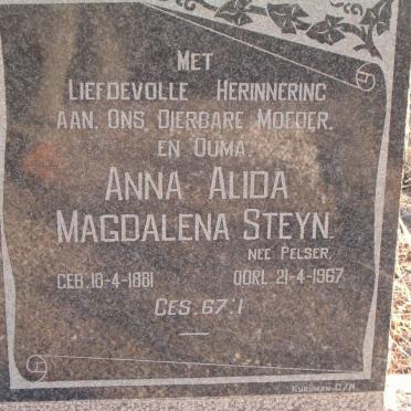 STEYN Anna Alida Magdalena nee PELSER 1881-1967