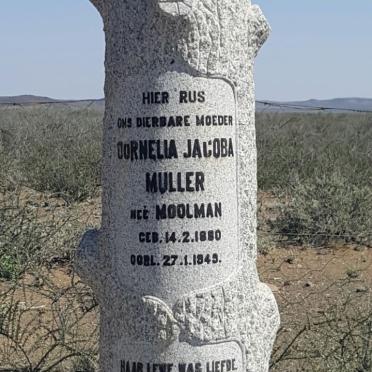 MULLER Hendrik Lodewyk 1874-1943 &amp; Cornelia Jacoba MOOLMAN 1880-1949