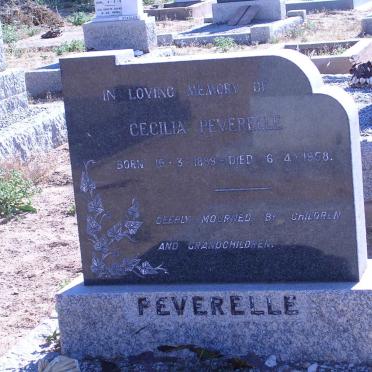PEVERELLE Cecilia 1889-1958