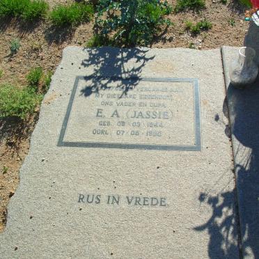 STRAUSS E.A. 1944-1996