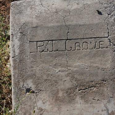 GROVE P.J.