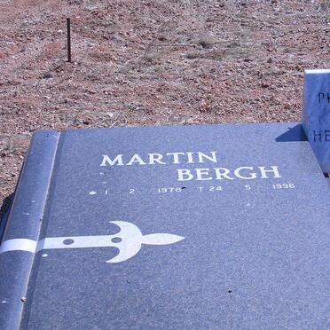 BERGH Martin 1978-1996