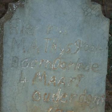 GROOTBOOM Mathys