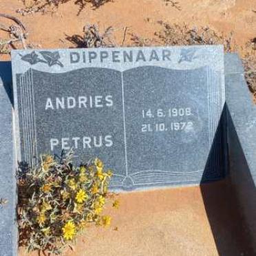 DIPPENAAR Andries Petrus 1908-1972