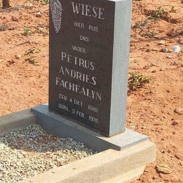 WIESE Petrus Andries Fachealyn 1889-1976