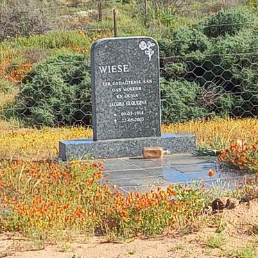 Northern Cape, NAMAQUALAND district, Doornfontein 464_2, farm cemetery