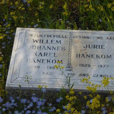 Northern Cape, NAMAQUALAND district, Kamieskroon, Kersbosch Fontein 347, Theunis se Dam, farm cemetery
