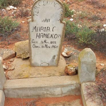 HANEKOM Maria C. 1873-1960
