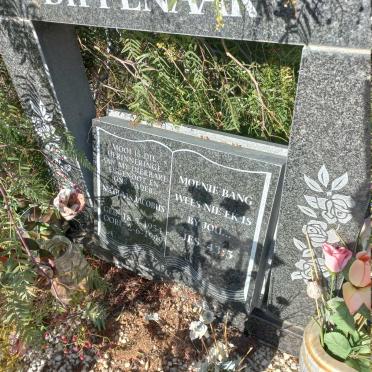 DIPPENAAR Nicolaas Jacobus 1954-1999