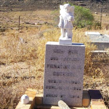 Northern Cape, NAMAQUALAND district, Springbok, Melkboschkuil 132, Mannetjiespringbok farm cemetery