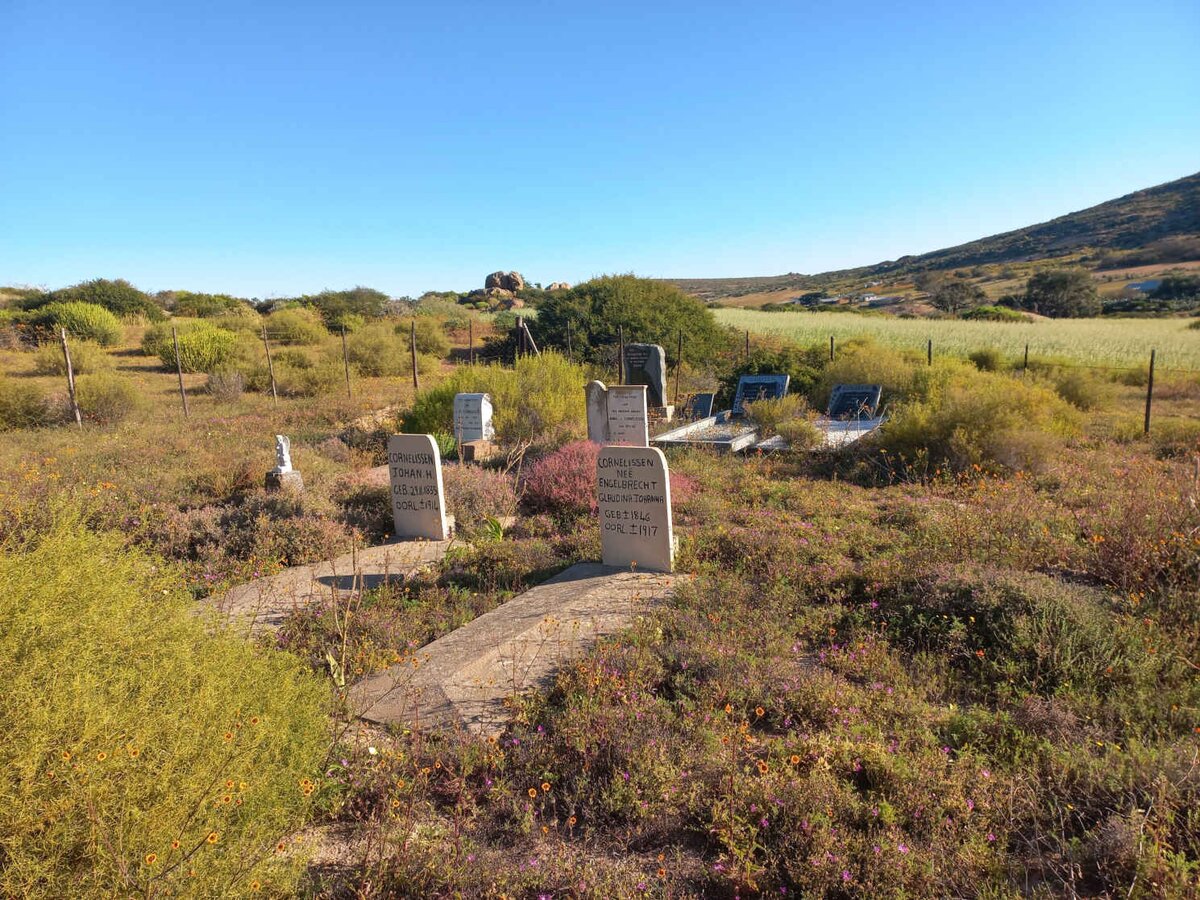 1. Overview / Oorsig