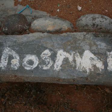 DOSMAID
