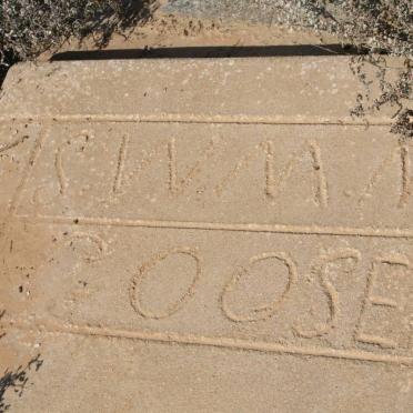 GOOSEN S.W.M.M.