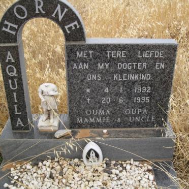 HORNE Aquila 1992-1995