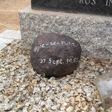 ZYL Willem A., van 1895-1981 &amp; Johanna J.E. 1902-1979