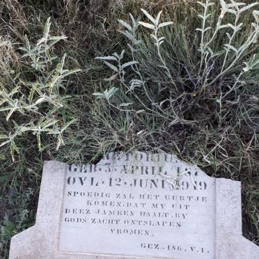 PRETORIUS ? 187?-1919