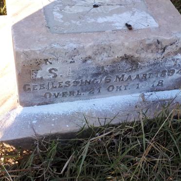 WALT F. S., v.d. nee LESSING 1894-1918