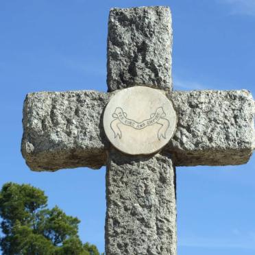 2. Plaque