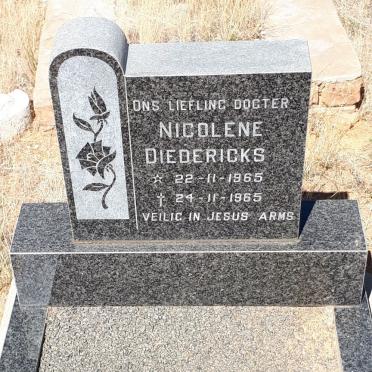DIEDERICKS Nicolene 1965-1965