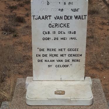 GERICKE Tjaart van der Walt 1938-1951