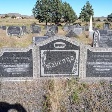 HAVENGA Nicolaas Hendrik 1883-1956 &amp; Elsie Emmerentia VENTER 1888-1964